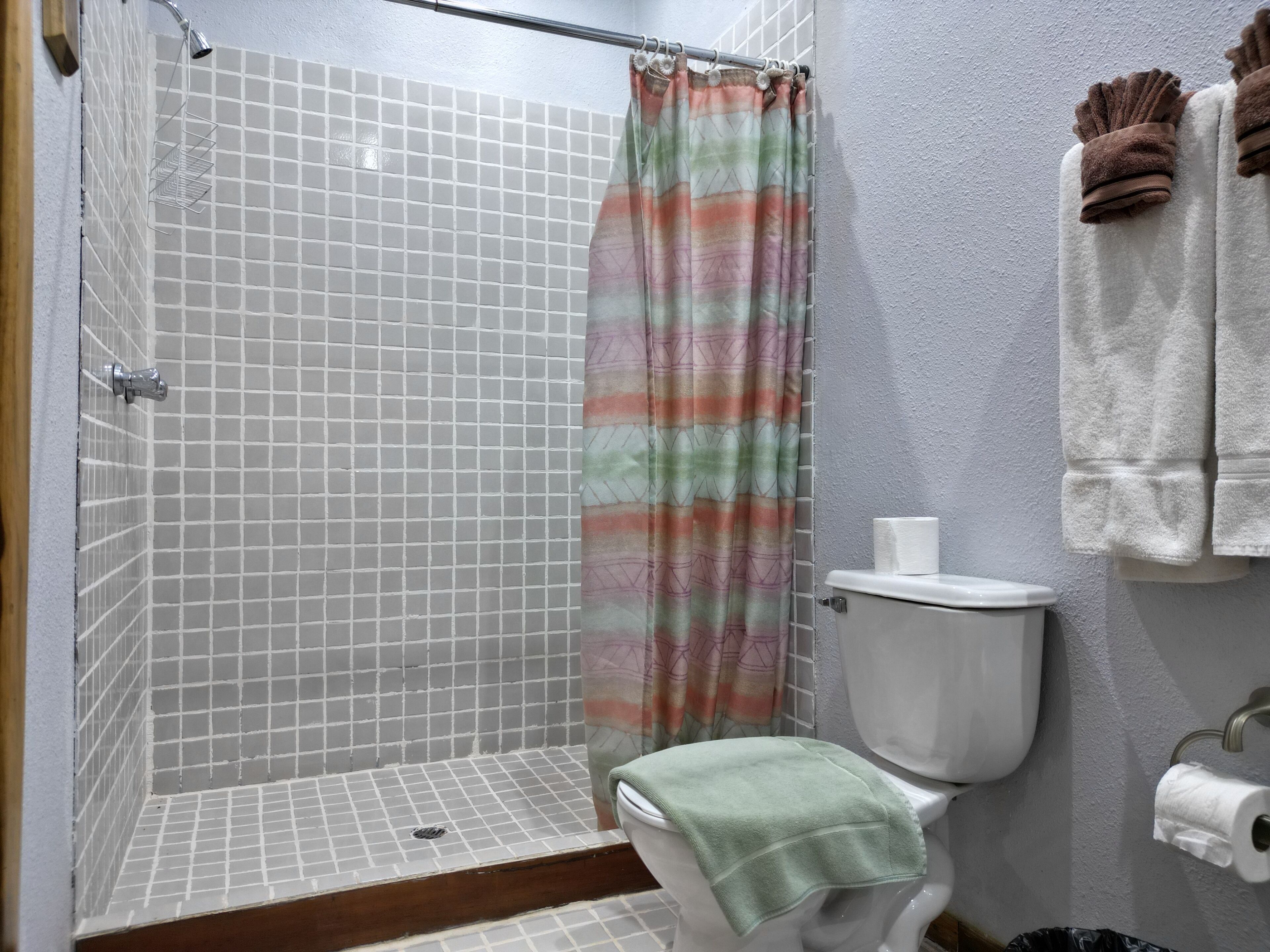 A bathroom with a shower, toilet, and a towel rack.