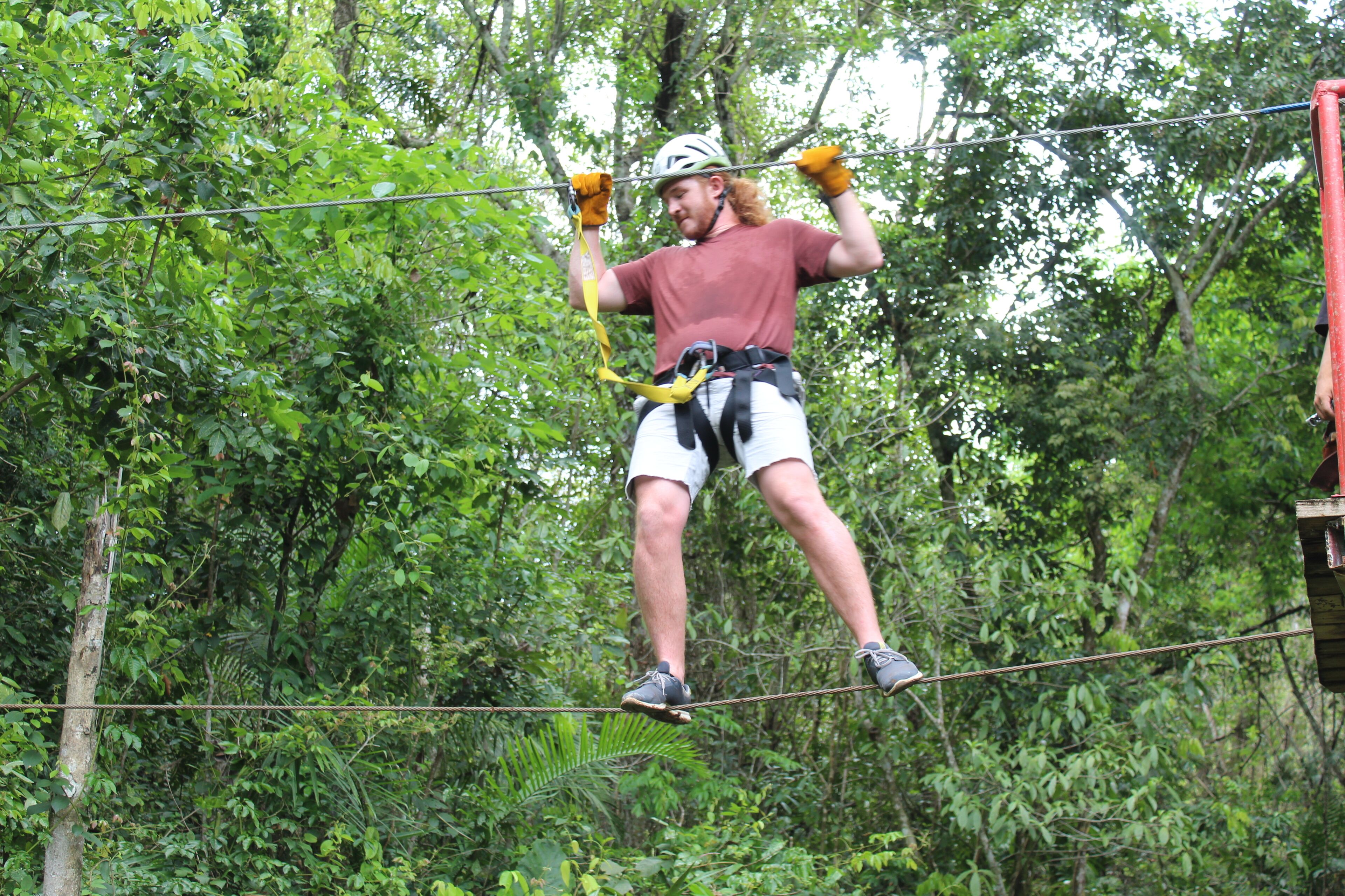 A person on a zip line in a forested area.