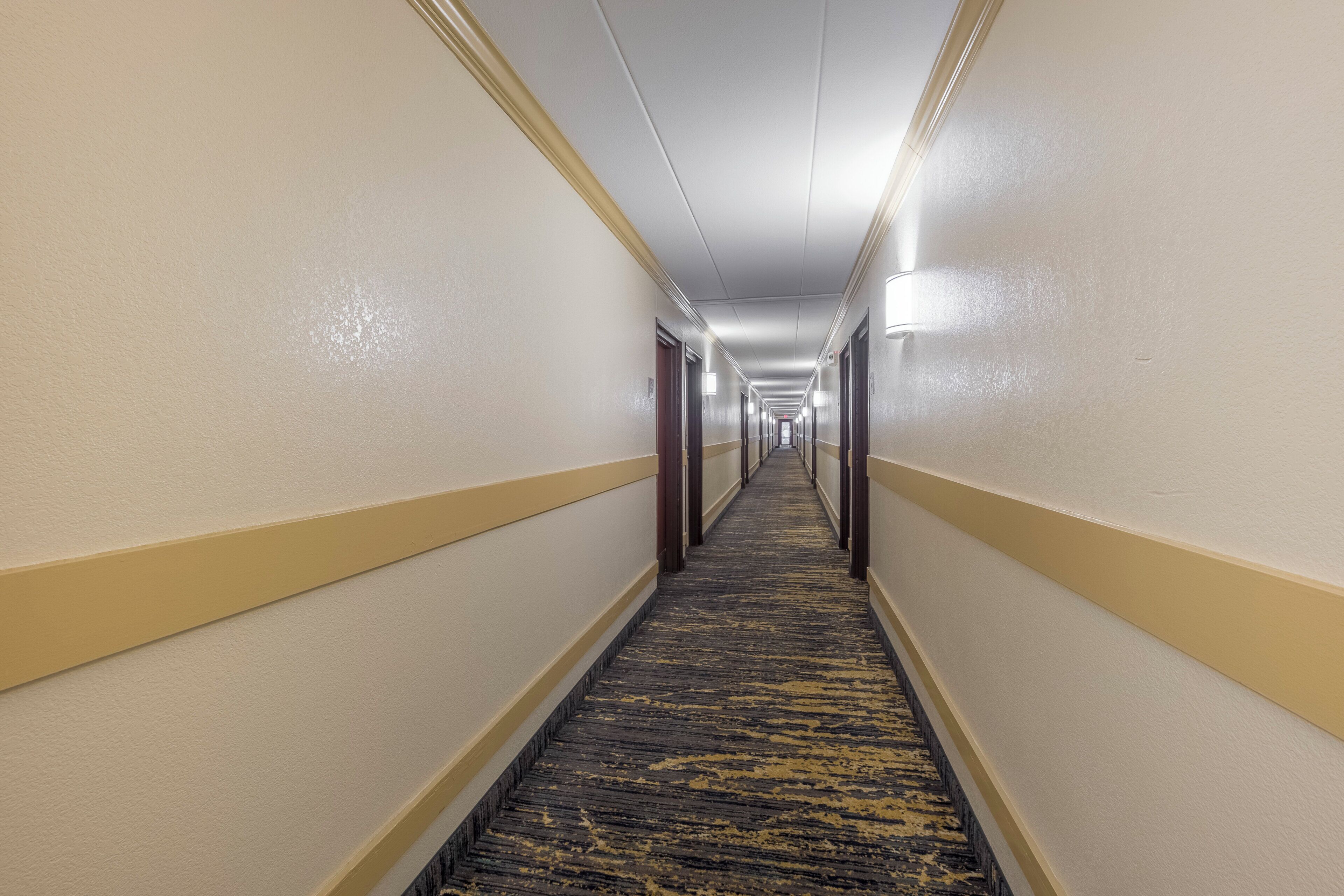 A hotel hallway with carpeted floors, doors on both sides, and overhead lighting.