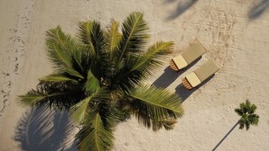 Vista cenital de una playa con una palmera y dos tumbonas.