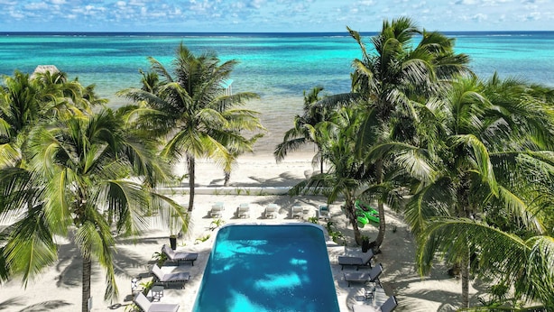 Une vue sur la piscine, avec une vue dégagée sur l’océan et les palmiers.