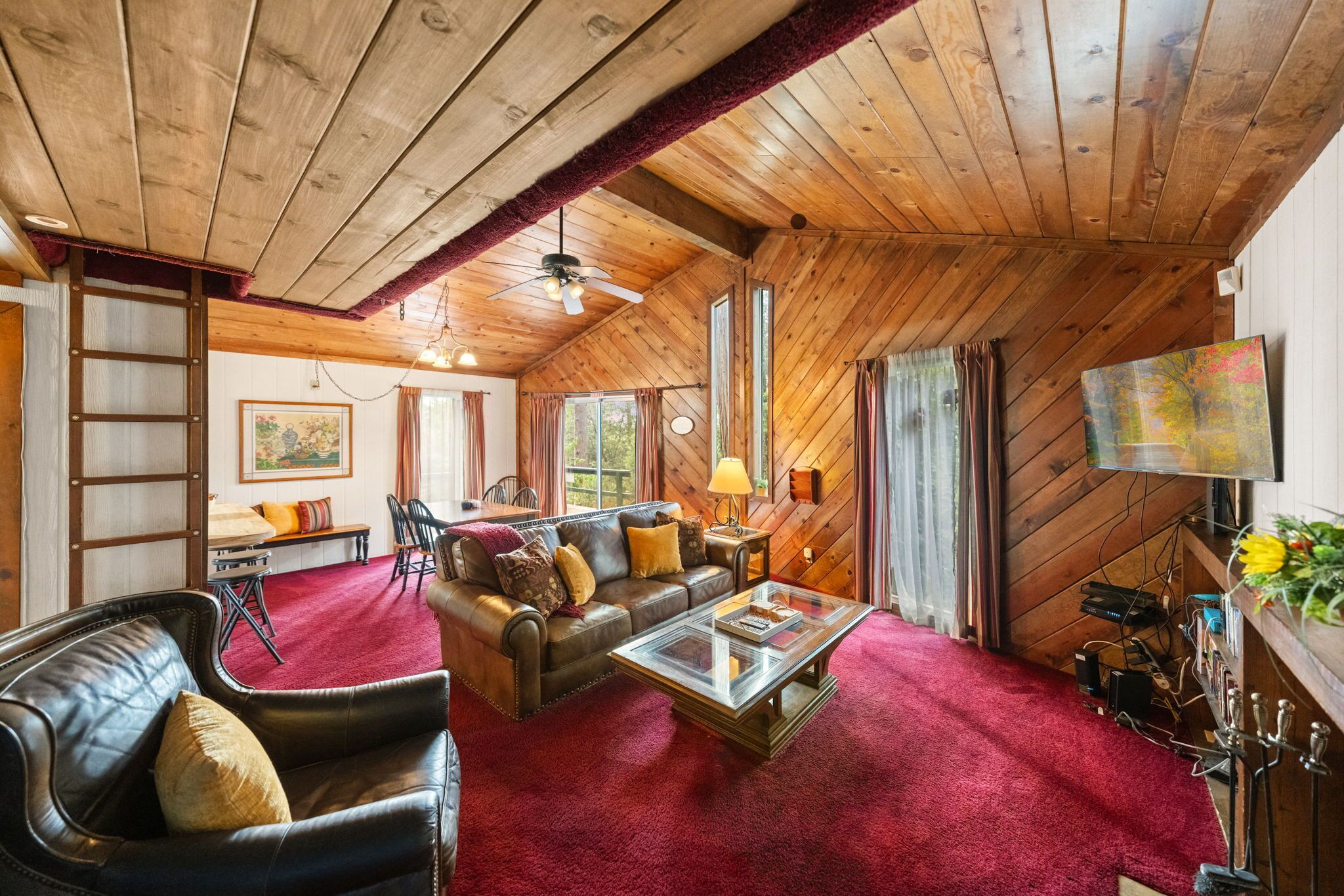 Smart TV, fireplace, video games, DVD player