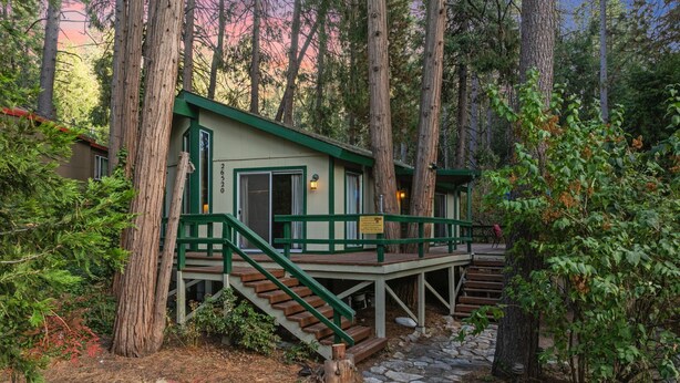 A cabin with a stone staircase leading to a wooden deck, surrounded by tall trees and dense foliage. - Secluded Cozy Cottage: Walk to Town, Private (Idyllwild)