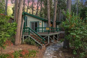 A cabin with a stone staircase leading to a wooden deck, surrounded by tall trees and dense foliage. - Secluded Cozy Cottage: Walk to Town, Private (Idyllwild)