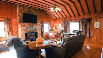 智能电视、壁炉、DVD 播放器