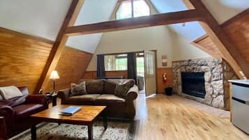 TV connectée, cheminée, lecteur de DVD