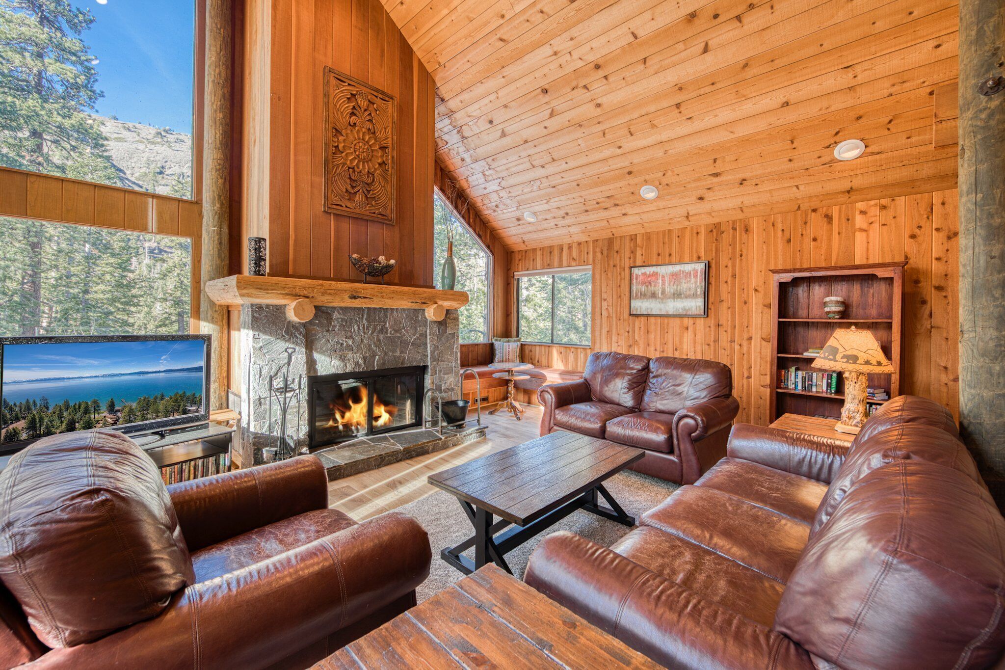 TV, fireplace, video games