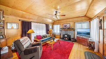 Smart-tv, pejs, dvd-afspiller