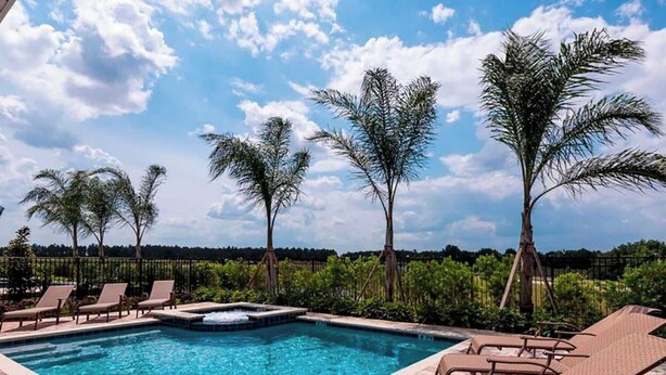 Une piscine avec des chaises longues, des palmiers et un ciel dégagé.