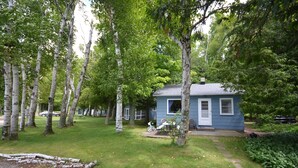 Una petita casa blava envoltada d'arbres en una zona boscosa.