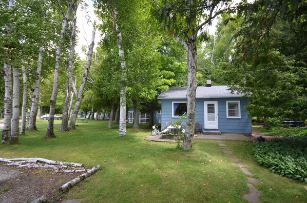 A small blue house surrounded by trees in a wooded area.