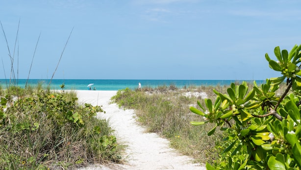 A beach path leading to the ocean with clear skies.