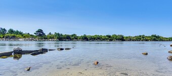 Cottage pittoresque Charleston 3BR prĂšs de la plage!