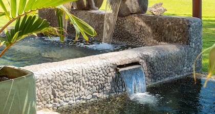 Aloha Aku CoCoPalm Suite – Experience Tropical Bliss