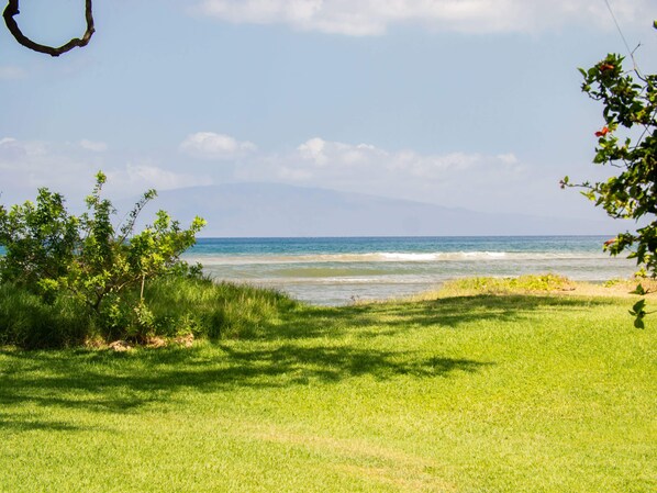 A grassy area with a view of the ocean and distant mountains.