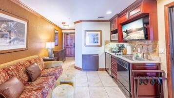 TV, fireplace, video games, DVD player