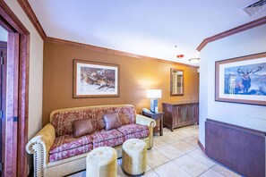 Télévision, cheminée, jeux vidéo, lecteur de DVD