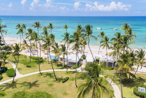 Un complexe hôtelier de bord de mer, avec des palmiers, une piscine et une vue sur l’océan.