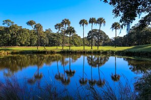 Imagen sin descripción, 3 de 44, botón