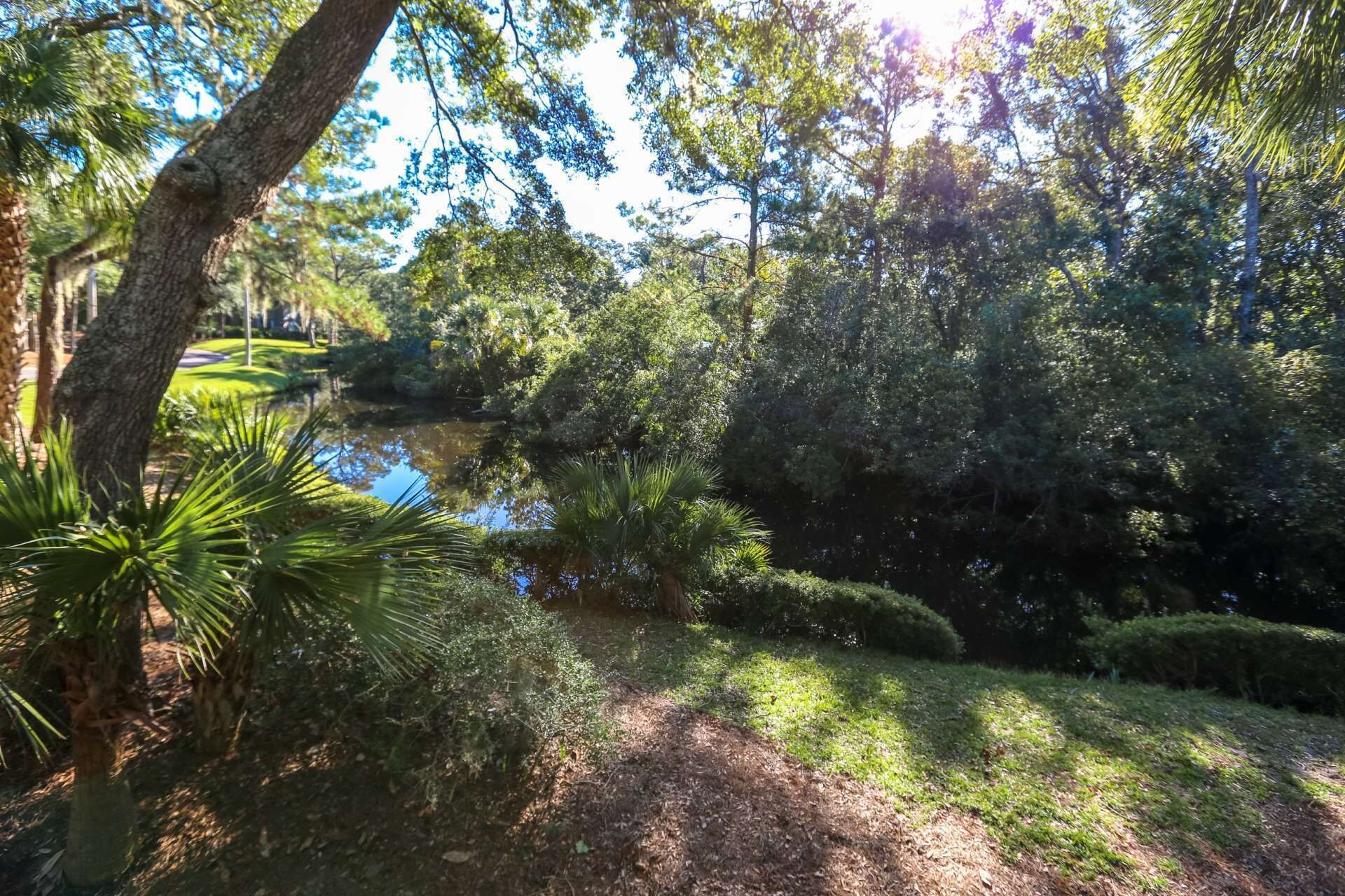 Un giardino tranquillo con uno stagno, circondato da rigogliosa vegetazione e palme.
