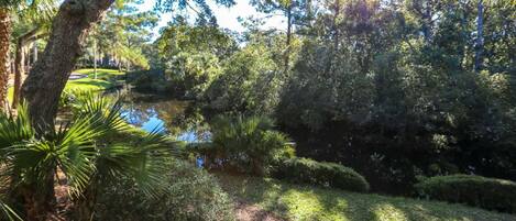 Un giardino tranquillo con uno stagno, circondato da rigogliosa vegetazione e palme.