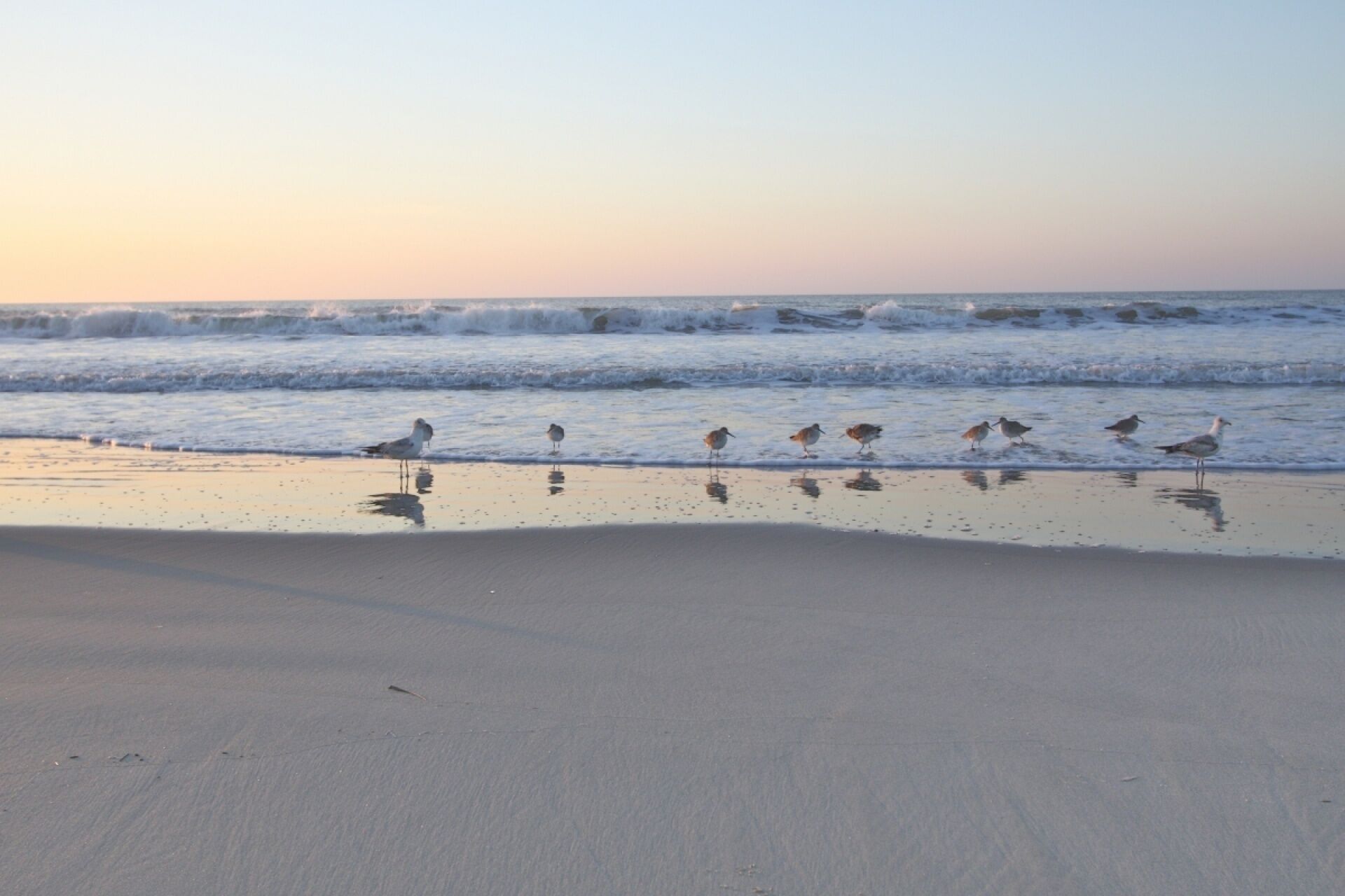 Ein Strand mit Sand und Wellen.