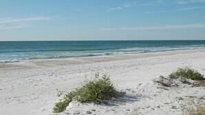 Una playa de arena blanca y vegetación escasa.