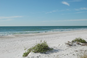 On the beach