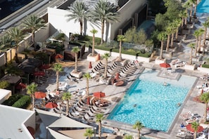 A rooftop pool area with lounge chairs, umbrellas, and palm trees.