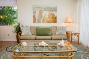 Älytelevisio, DVD-soitin