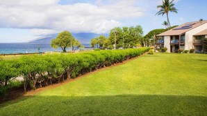 A hotel with a well-maintained lawn, a view of the ocean, and a palm tree. - Hale Kamaole 177 Ground floor condo, easy access to best beach on Maui! (Kihei)