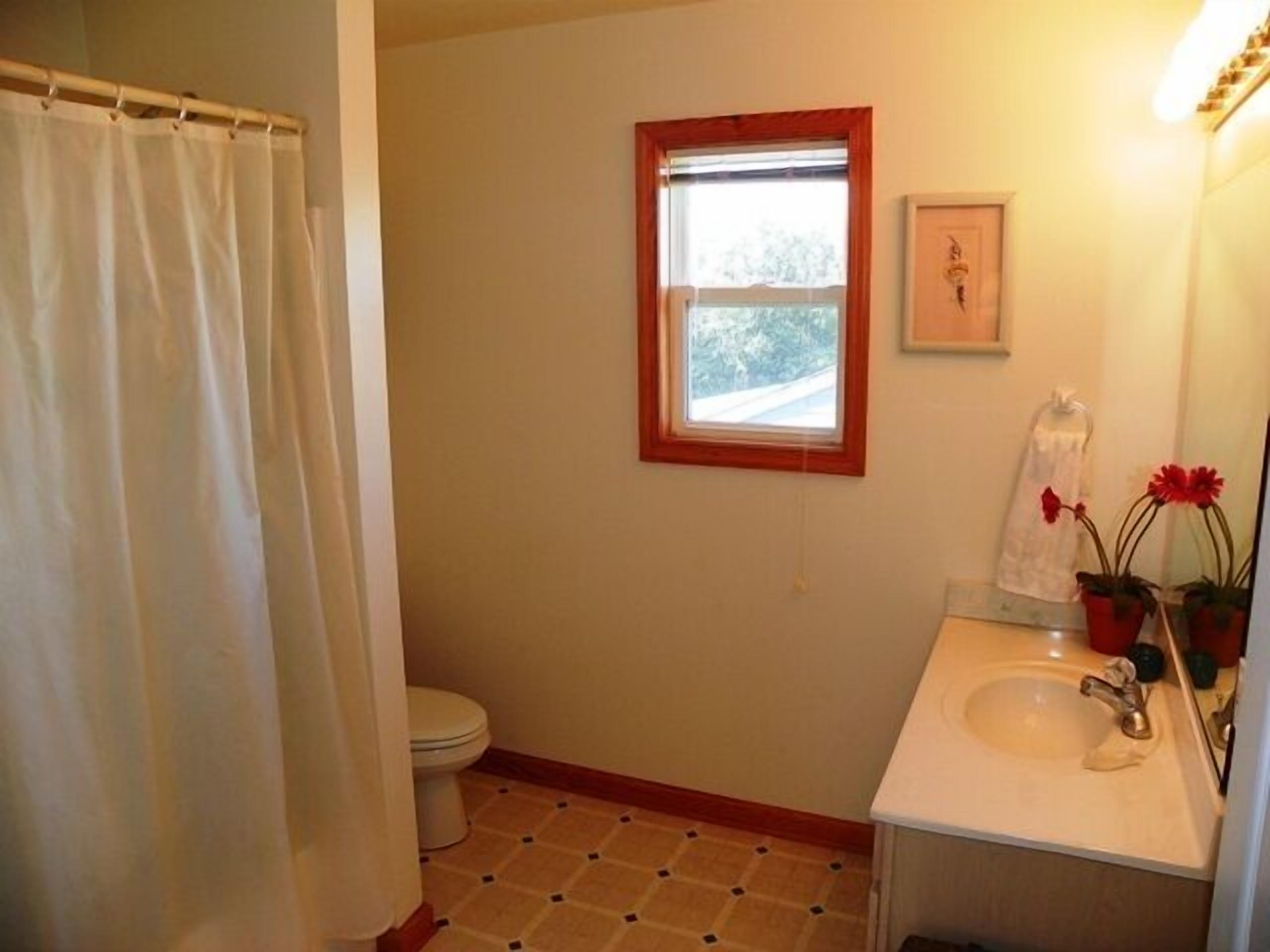 A bathroom with a toilet, a sink, a window, and a shower curtain.