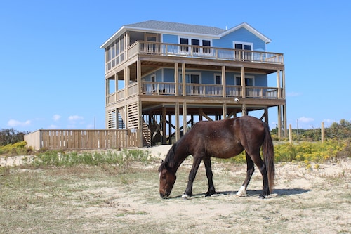 Summer Paws | 3BR SemiOceanfront 4x4 OBX | Pool, Hot Tub & Wild Horses | Pets