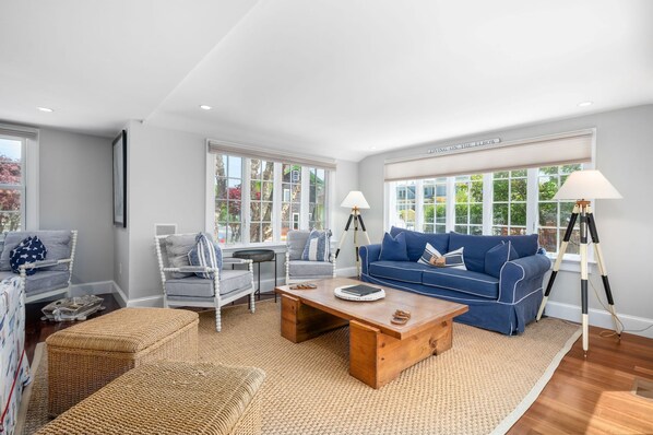 Télévision, cheminée, lecteur de DVD, chaîne hi-fi