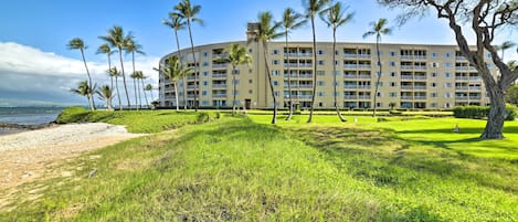 Un hotel con vista a la playa, palmeras y un césped bien cuidado.