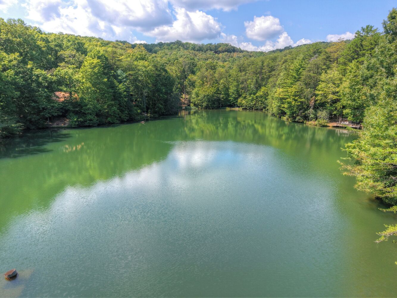 A calm lake surrounded by dense forest.