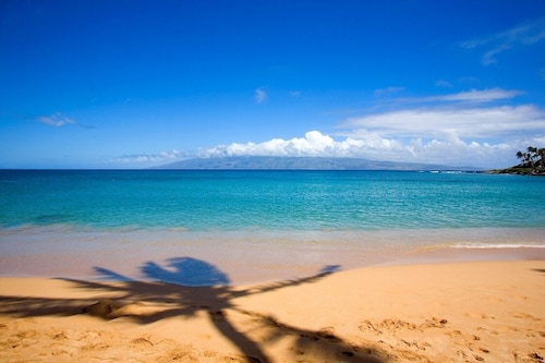 Steps to Beach - Elegant Villa - Tropical Oasis - Central AC