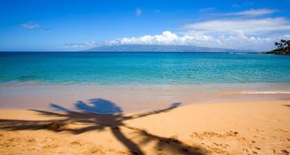 Steps to Beach - Elegant Villa - Tropical Oasis - Central AC