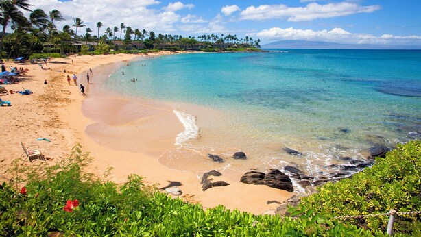 Una playa con aguas turquesas cristalinas, palmeras y una orilla arenosa.