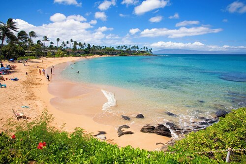 Steps to Beach - Elegant Villa - Tropical Oasis - Central AC