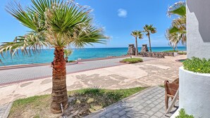 A beachfront patio with palm trees, a stone pathway, and a view of the ocean.