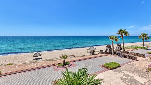 A beachfront resort with a paved walkway, palm trees, and a view of the ocean.
