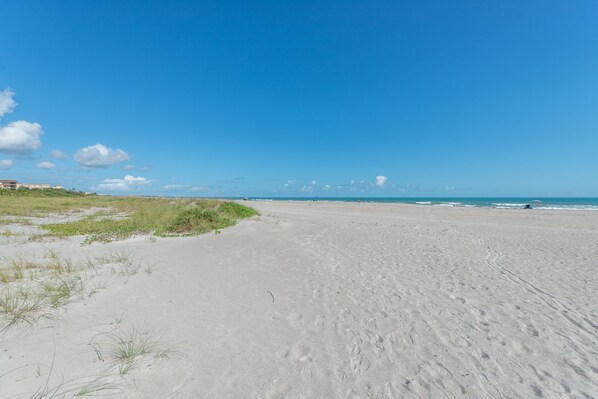 On the beach