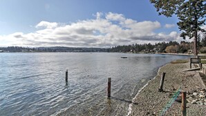 Une plage de galets avec une eau claire, une côte lointaine et un arbre sur la droite.