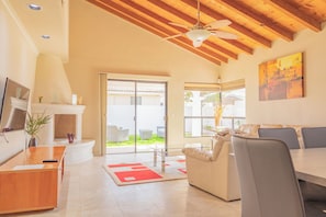 Smart TV, chimenea, Netflix, reproductor de DVD