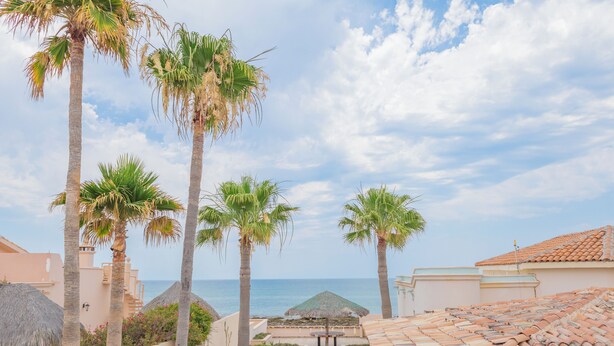 A pathway leading to a beach with palm trees and a thatched-roof structure.