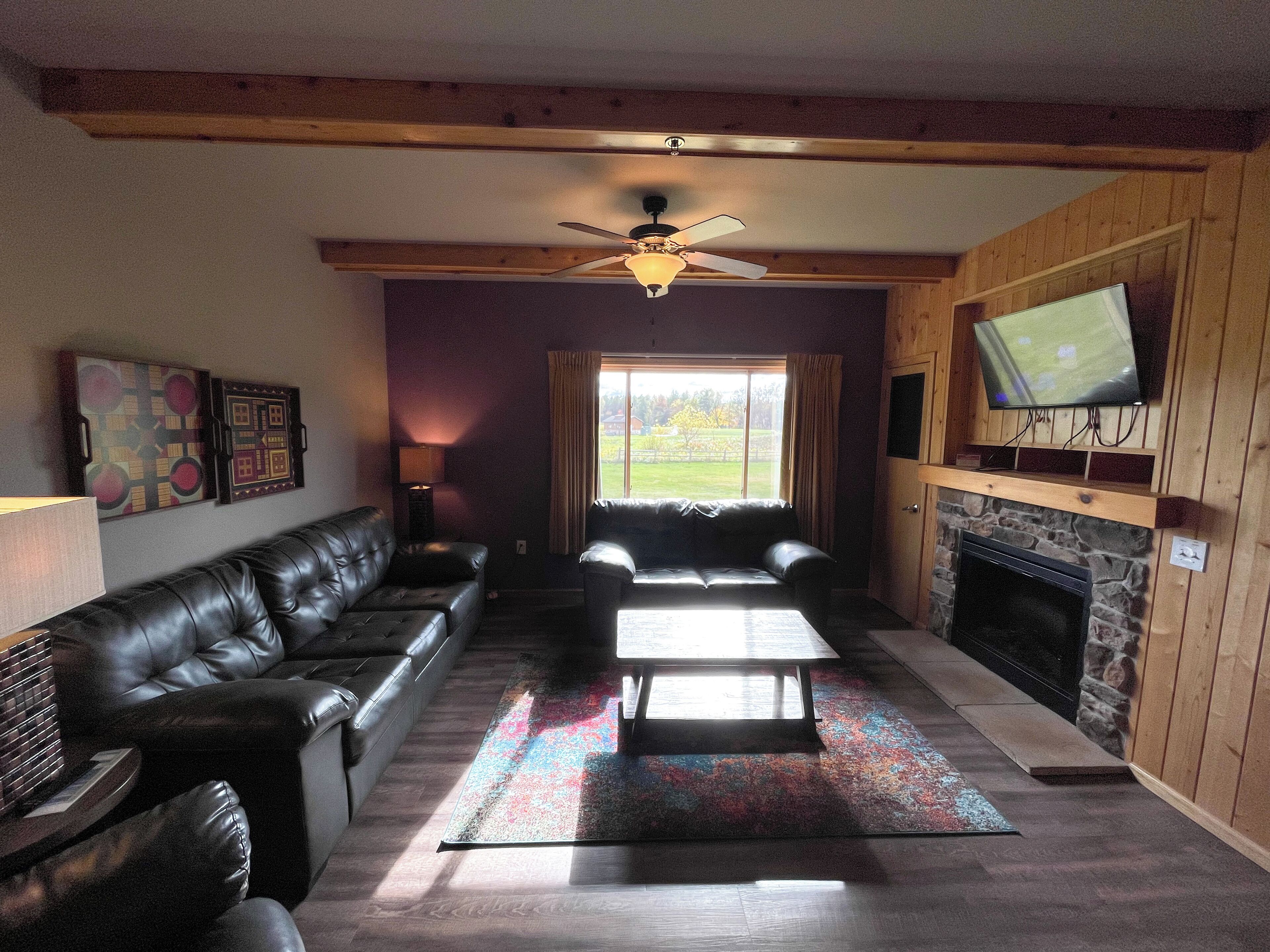 TV, fireplace