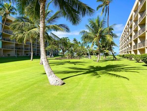 A hotel with a well-maintained lawn, palm trees, and a building with balconies.