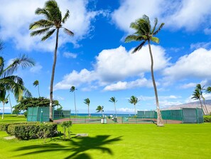 A tennis court with palm trees, a clear sky, and a view of the ocean.