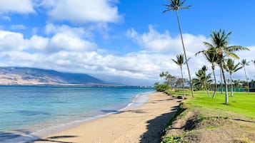 Plage, chaises longues, serviettes de plage